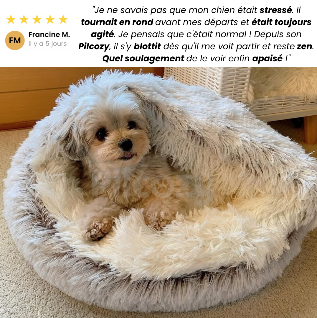 Lit Cocon Thérapeutique Pilcozy™️