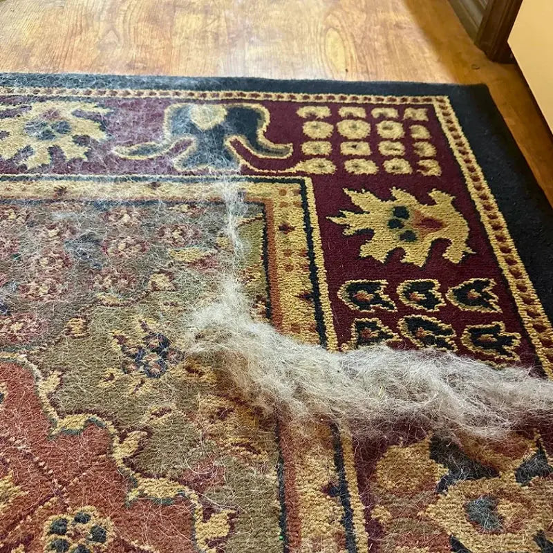 Attrape-Poils pour Tapis & Canapés - Pilcozy