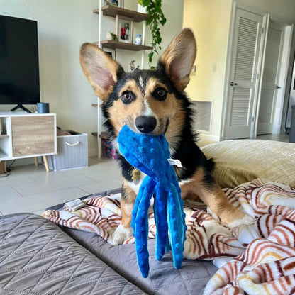 Octopus Jouet Anti-Stress Pilcozy