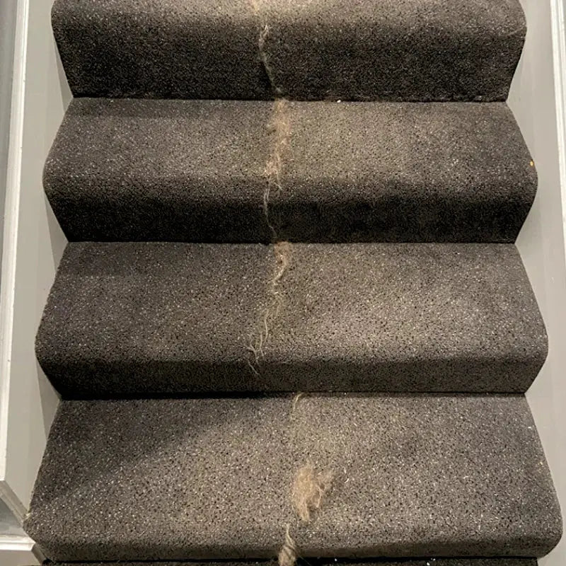 Attrape-Poils pour Tapis & Canapés - Pilcozy