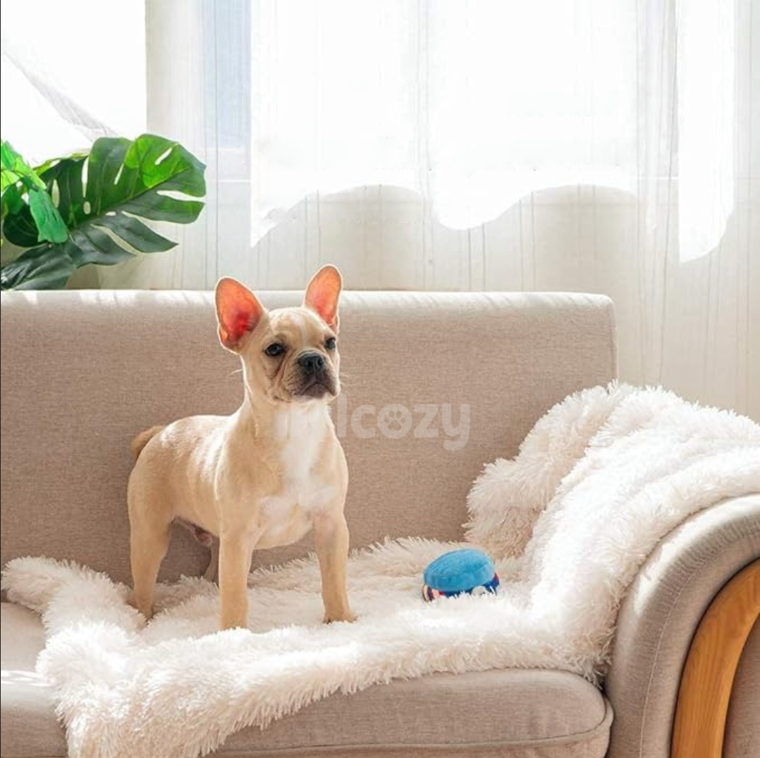 Couverture Apaisante Pilcozy™ Pilcozy