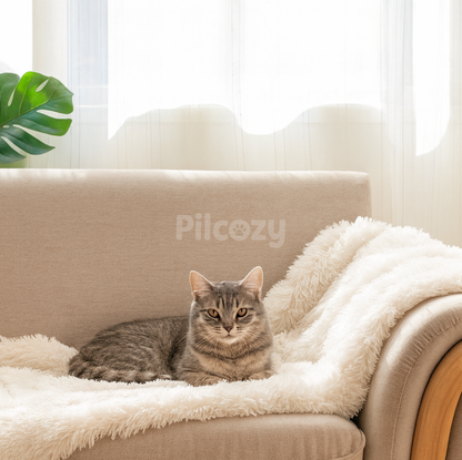 Couverture Apaisante Pilcozy™ Pilcozy