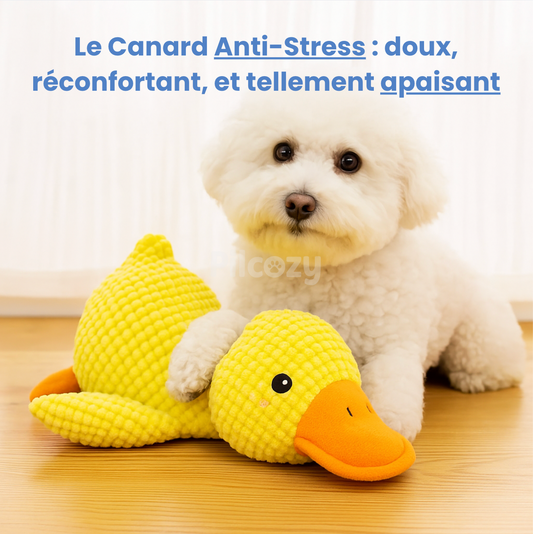 Doudou Canard Anti-Stress Pilcozy