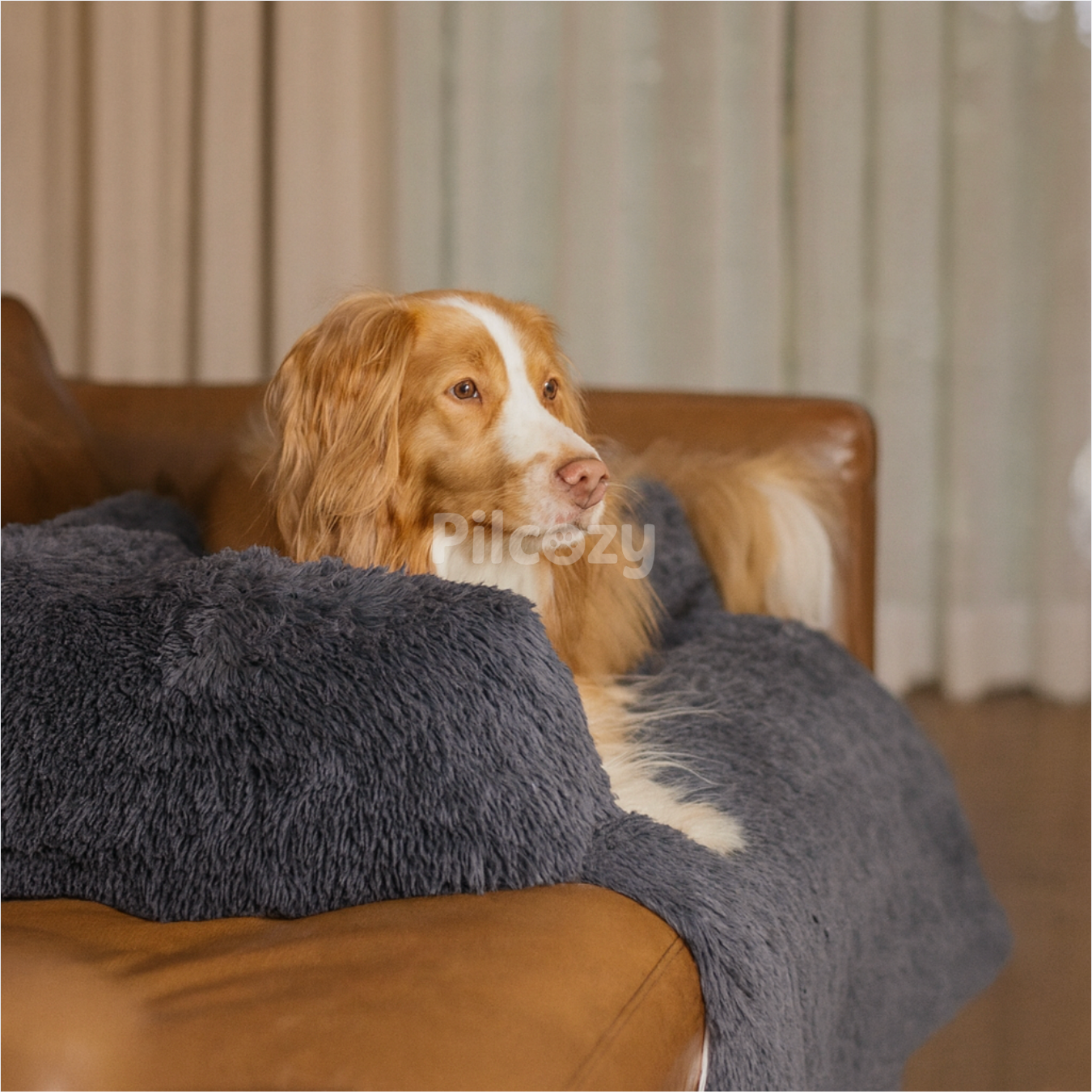 Protège-Canapé Apaisant Pilcozy™ Pilcozy