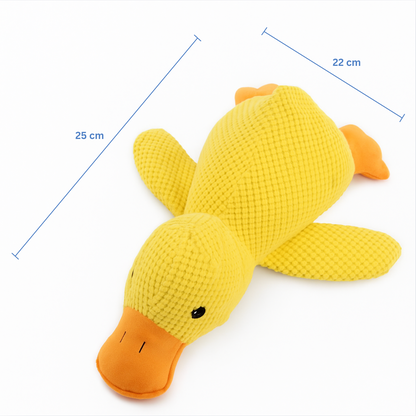 Canard Anti-Stress Pilcozy